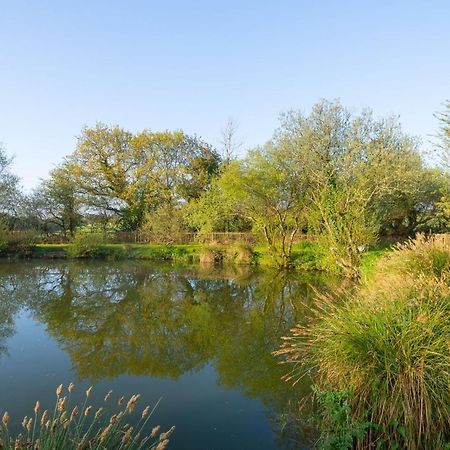 Our Goldfinch 1- Sleeps 2 Persons- Private Hot Tub-Pet Friendly-Tranquil Holiday Away From It All Yet Not Far From St Austell- The Holiday Home Has One Bedroom, Living And Dining Area, Equipped Kitchen-Decking-Outdoor Furniture-Fishing Lakes And More Grampound Exteriör bild